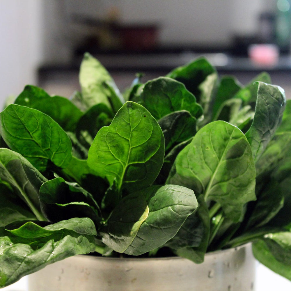 Folate-Rich Foods