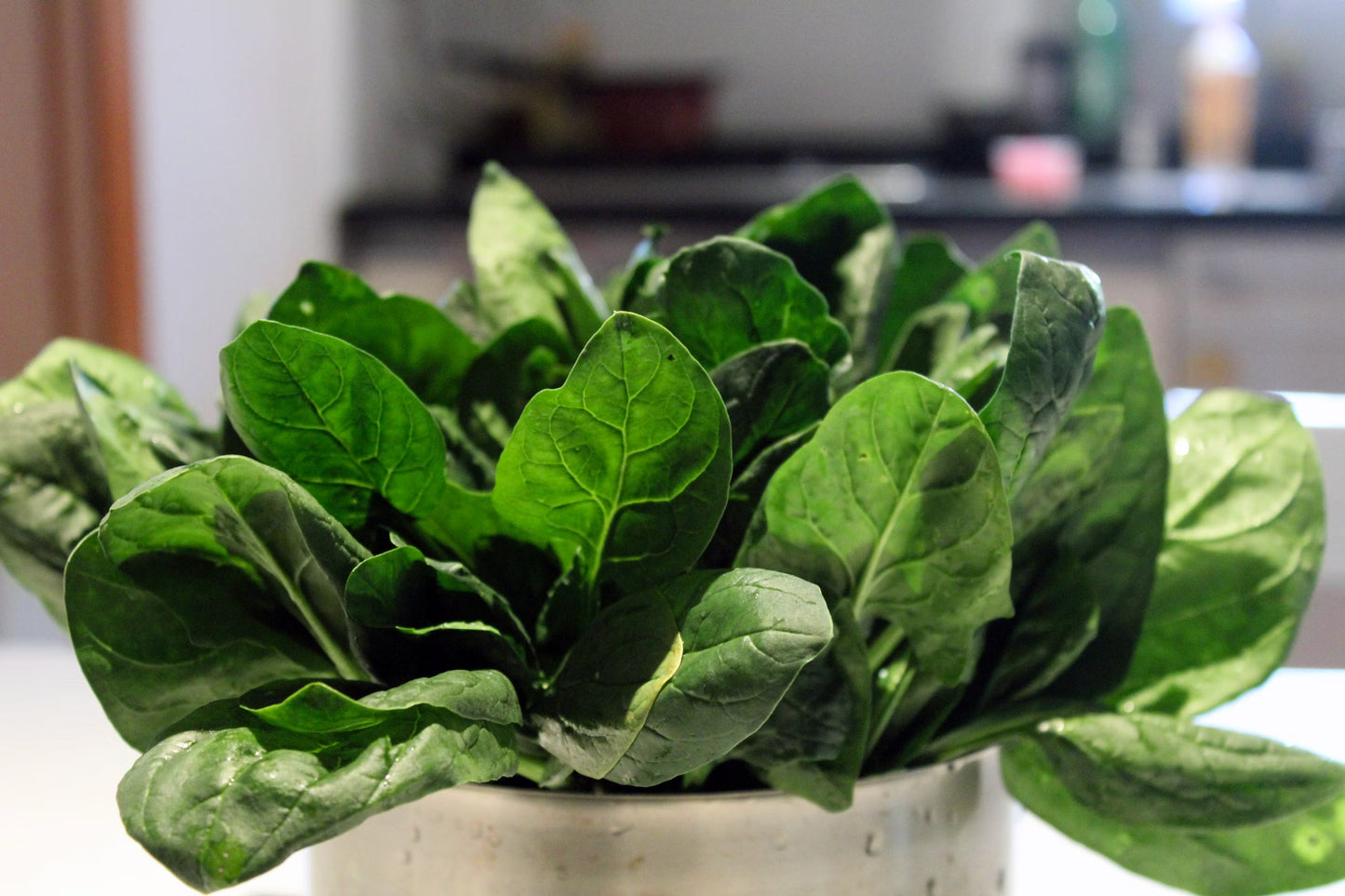 Folate-Rich Foods